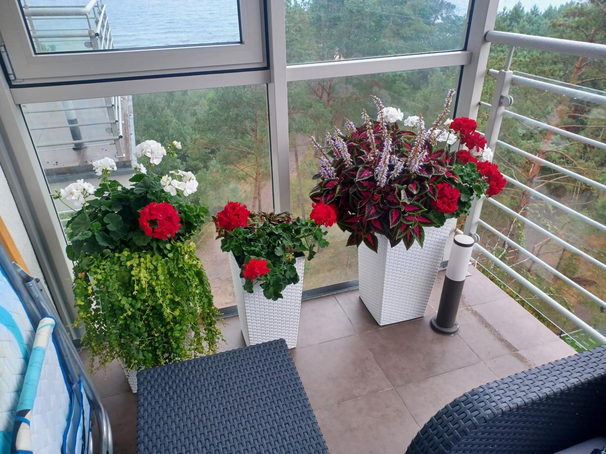 Apartament Z Widokiem Na Morze Dziwnowek Room photo